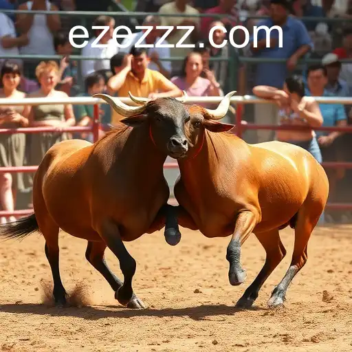 Rinha de Galos: Tradição e Controvérsia